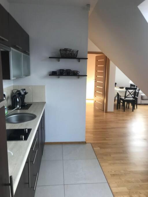 Bystra Woda Apartament / Malaszynskiego Zakopane Buitenkant foto