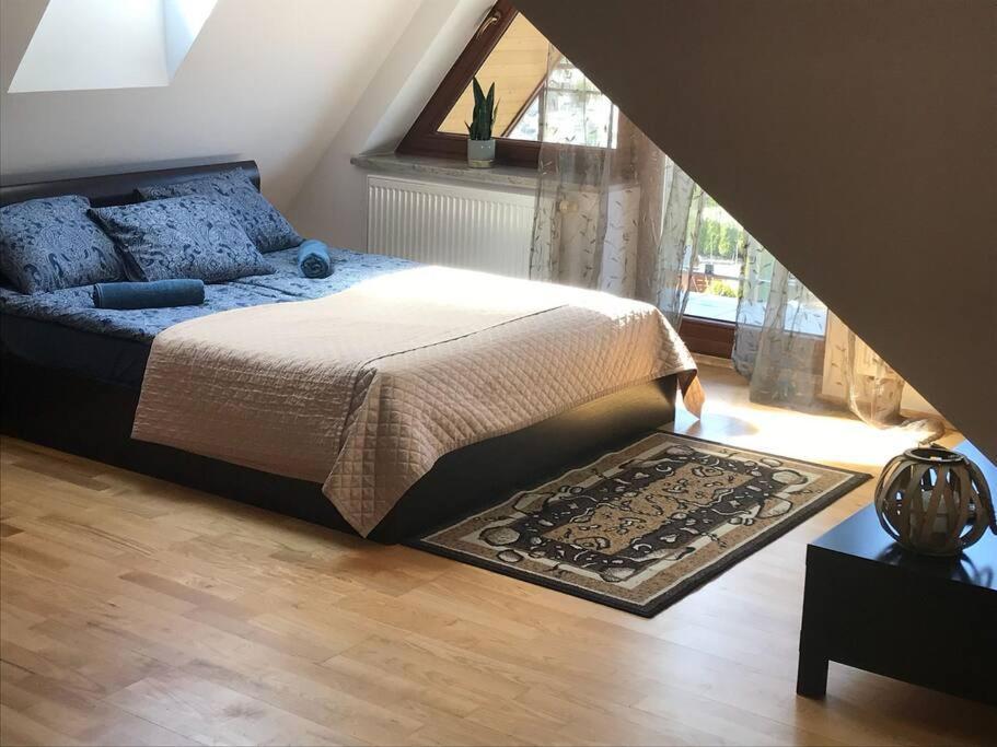 Bystra Woda Apartament / Malaszynskiego Zakopane Buitenkant foto